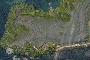 Crystal Drone Services Crystal Drone Services